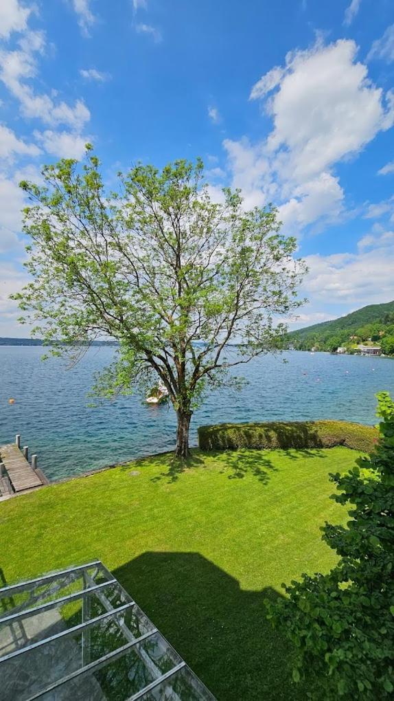 Gasthof Mit Seeterasse & Appartements Zur Landeroith Weyregg Buitenkant foto